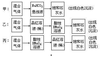 co2的生成和检验视频,CO2生成与检验实验过程解析